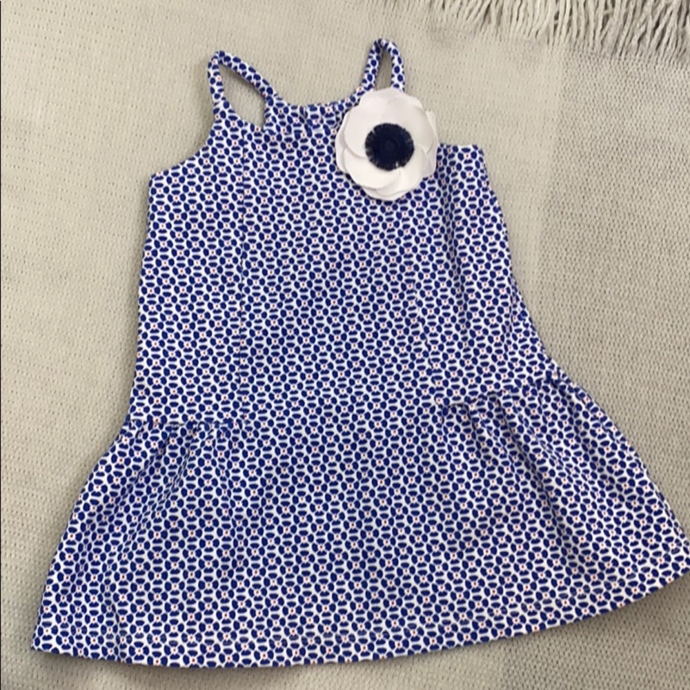 Janie and Jack drop waist dress